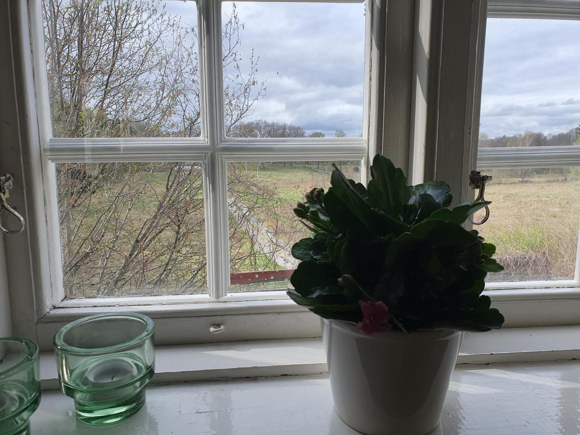 Ekeliden B&B Ulricehamn Exteriér fotografie